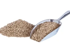 Elles Sonnenblumenkerne geschält 1 kg