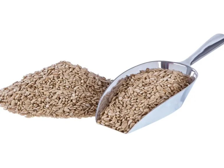 Elles Sonnenblumenkerne geschält 1 kg