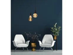 ENOVALITE LED Filament Leuchtmittel PEAR E27 4W 2200K Dimmbar Bernstein Warmweiß 100mm Vintage Retro Deko Lampe