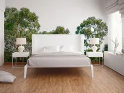 Fototapete Bäume Himmel Grün Braun 3,50 m x 2,55 m FSC®