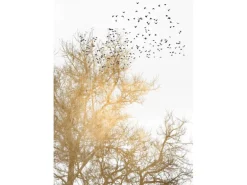 Fototapete Bäume Vögel Weiß Gold Schwarz 2,00 m x 2,80 m FSC®