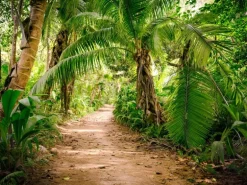 Fototapete Palmen Dschungel Grün Braun 3,50 m x 2,55 m FSC®