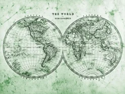 Fototapete Weltkarte Grün Grau Weiß 3,50 m x 2,55 m FSC®