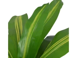 furnicato Künstlicher Drachenbaum mit Topf 90 cm Grün