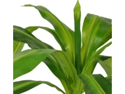 furnicato Künstlicher Drachenbaum mit Topf 100 cm Grün