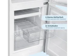 homeX Kühlschrank Mit Gefrierfach Kühl-Gefrierkombination Freistehend 173 Liter Nutzinhalt CFS1110-W Weiß