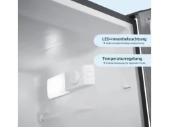 homeX Kühlschrank Mit Gefrierfach Kühl-Gefrierkombination Freistehend 173 Liter Nutzinhalt CFS1110-S Silber