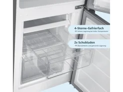 homeX Kühlschrank Mit Gefrierfach Kühl-Gefrierkombination Freistehend 173 Liter Nutzinhalt CFS1110-S Silber