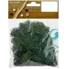 Islandmoos ideales Deko und Bastelmoos 25 gr. Beutel