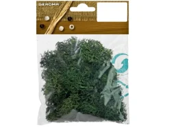 Islandmoos ideales Deko und Bastelmoos 25 gr. Beutel