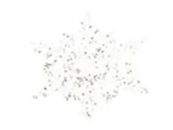 Kaemingk Haenger Christbaumschmuck Eisstern Schneeflocke Transparent Silber