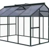 KGT Gewächshaus Novum IV Tannengrün 11,14 m²