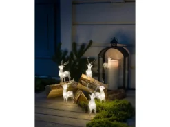 Konstsmide LED-Rentier 5er-Set Acryl 40 warmweiße LEDs außen