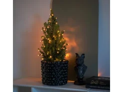 Konstsmide Micro LED Büschellichterkette Cluster 200 LED