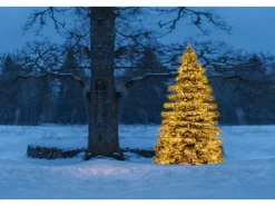 Konstsmide Micro LED Lichterkette Cluster 364 bernsteinf LEDs innen und außen