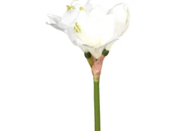 Kunstzweig Amaryllis aus Kunststoff 51 cm Creme