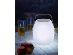 LED Tischleuchte Aviola