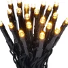 LED-Lichterkette 80 LEDs Warmweiß Grünes Kabel 8,92 m