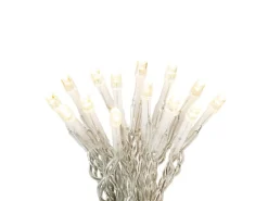 LED-Lichterkette 240 LEDs Warmweiß in Kunststoffbox Transparentes Kabel 22,92 m