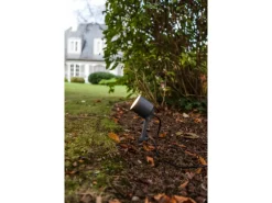 Lutec LED Erdspieß Spot Explorer