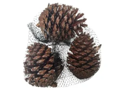 Mica Decorations Kieferzapfen Basteldekoration 220 g Hellbraun