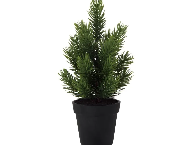 Mini-Kunsttanne im Topf Ø 11 cm x 25 cm