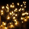 Mojawo 80er Lichterkette LEDs  Weihnachtsbeleuchtung Innen und Außen Warmweiß Grün