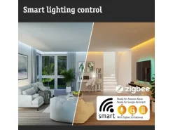 Paulmann LED-Gartenspot Plug & Shine Kikolo Zigbee 3.0 RGBW+ 660 lm Anthrazit