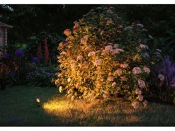 Paulmann LED-Outdoor-Spot Sting Plug & Shine 3 Stk Insektenfreundlich