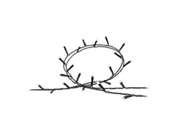 Philips Hue LED-Lichterkette Festavia 500 LEDs 40 m Schwarz