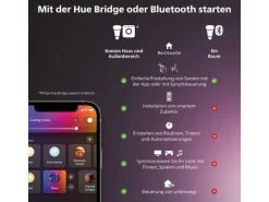 Philips Hue Lichterkette Festavia 250 LEDs 20 m