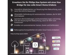 Philips Hue Lichterkette Festavia 250 LEDs 20 m