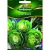 Quedlinburger Zierkohl ''Sunrise''