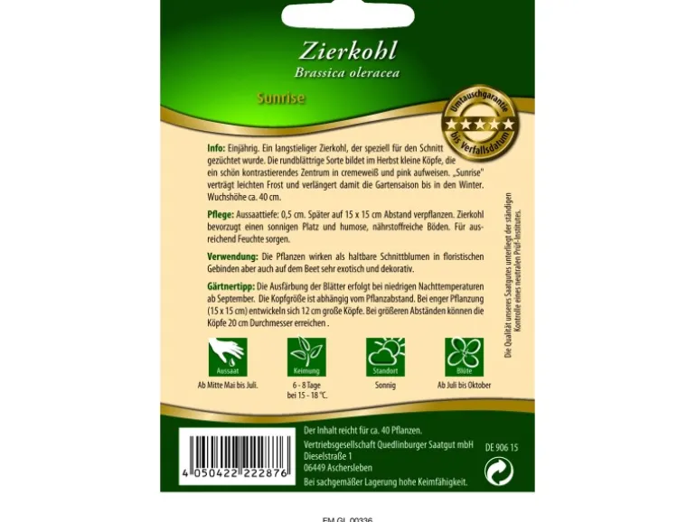 Quedlinburger Zierkohl ''Sunrise''