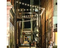 Satisfire Illu- Partylichterkette 40m Schwarz Biergarten 40xE27 LED Kugellampen Kaltweiß