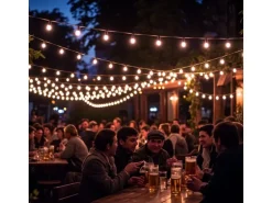 Satisfire Illu- Partylichterkette 20m Schwarz Biergarten 30xE27 LED Kugellampen Kaltweiß