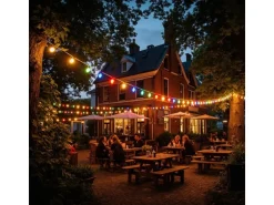 Satisfire Illu- Partylichterkette 10m Schwarz Außen Biergarten 30 Bunte LED Kugellampen