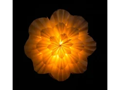 Sterntaler Dekostern Weihnachtsstern Papier Faltstern Innen Glühbirne Netzstecker Weiß 1