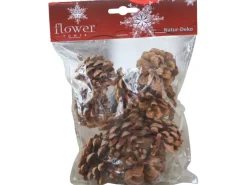 Tannenzapfen Natur 9 Stück