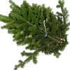 Tannenzweige Nordmanntanne 2,5 kg Bund
