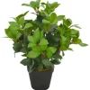 vidaXL Künstliche Pflanze Lorbeerbaum mit Topf Grün 40 cm