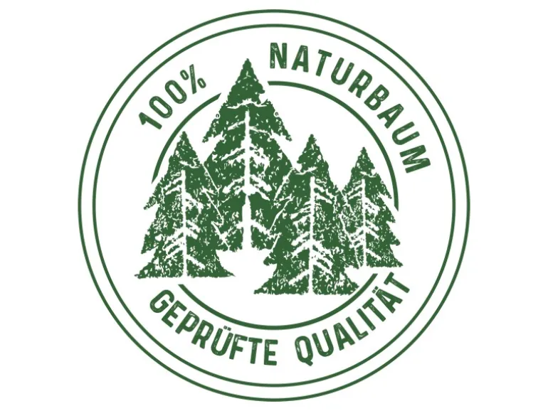 Weihnachtsbaum Echte Nordmanntanne 150 - 175 cm hoch gesägt