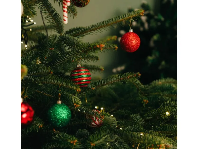 Weihnachtsbaum Echte Nordmanntanne 150 - 175 cm hoch gesägt